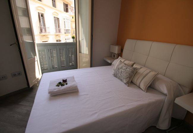 Apartment in Málaga - Larios B