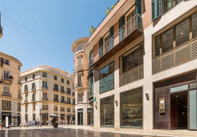 Apartment in Málaga - Atico Strachan Larios