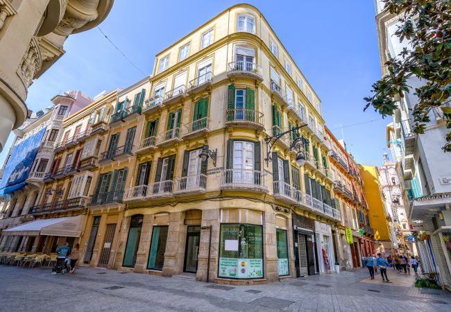 Apartment in Málaga - Atico Sebastian Souviron