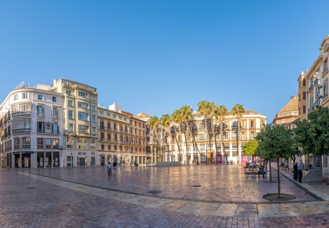 Apartment in Málaga - Pic VII City Center -  Granada 8